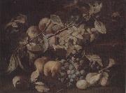 unknow artist Still life of red and white grapes,peaches and plums,on a stone ledge oil